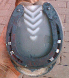 Korrektur der Hufe unter der Verwendung des Werkanneisens