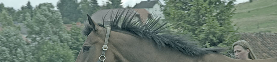 ramaja visuelle kommuniktaion