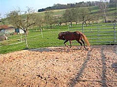 Rehepatient nach der Behandlung