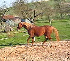 Rehepatient nach der Behandlung