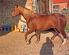 Rehepatient nach der Behandlung