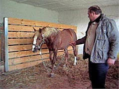 Rehepatient vor dem Beschlagen