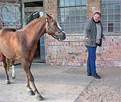 Rehepatient vor dem Beschlagen