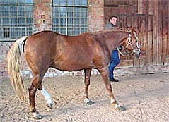 Rehepatient vor dem Beschlagen