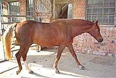 Rehepatient nach der Behandlung