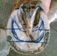 Beschlag mit EDSS-System