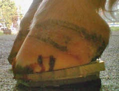 Beschlag mit EDSS-System