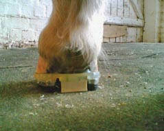 Beschlag mit EDSS-System